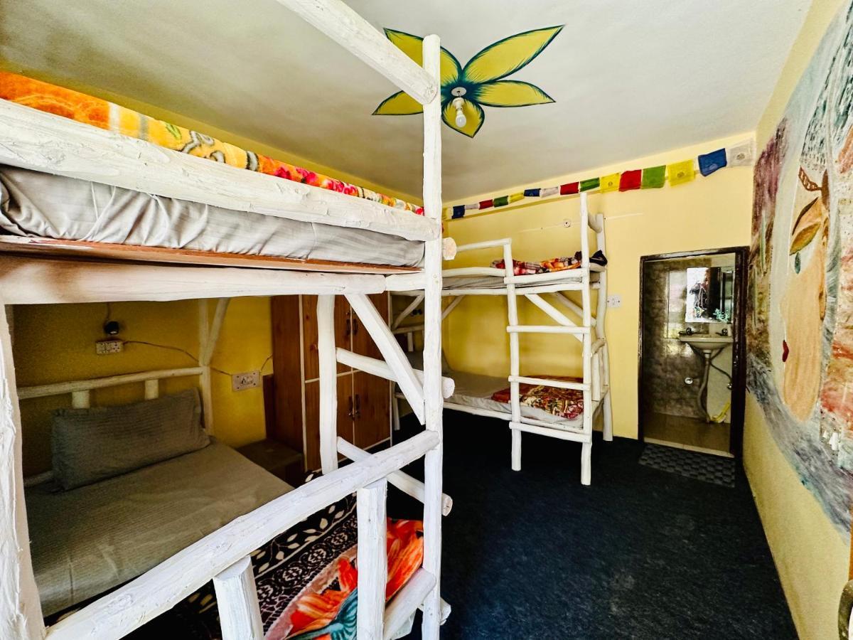 Hostel 360 Degree 마날리 외부 사진